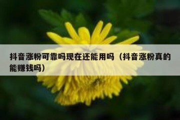 抖音涨粉可靠吗现在还能用吗（抖音涨粉真的能赚钱吗）
