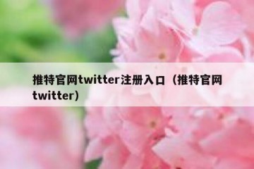 推特官网twitter注册入口（推特官网twitter）