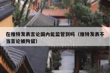 在推特发表言论国内能监管到吗（推特发表不当言论被拘留）