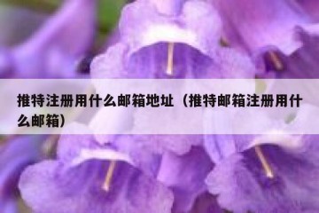 推特注册用什么邮箱地址（推特邮箱注册用什么邮箱）