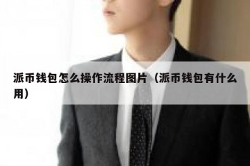 派币钱包怎么操作流程图片（派币钱包有什么用）