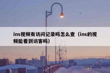 ins视频有访问记录吗怎么查（ins的视频能看到访客吗）