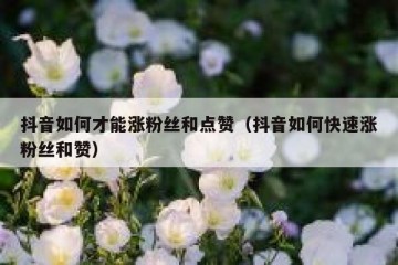 抖音如何才能涨粉丝和点赞（抖音如何快速涨粉丝和赞）
