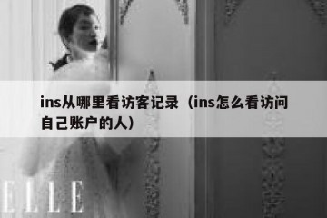 ins从哪里看访客记录（ins怎么看访问自己账户的人）