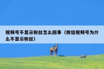 视频号不显示粉丝怎么回事（微信视频号为什么不显示粉丝）