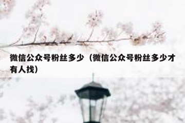微信公众号粉丝多少（微信公众号粉丝多少才有人找）