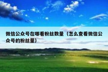 微信公众号在哪看粉丝数量（怎么查看微信公众号的粉丝量）