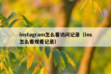 instagram怎么看访问记录（ins怎么看观看记录）