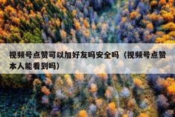 视频号点赞可以加好友吗安全吗（视频号点赞本人能看到吗）