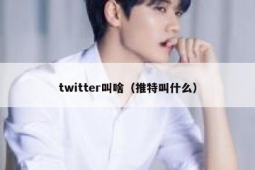 twitter叫啥（推特叫什么）