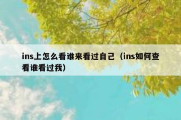 ins上怎么看谁来看过自己（ins如何查看谁看过我）