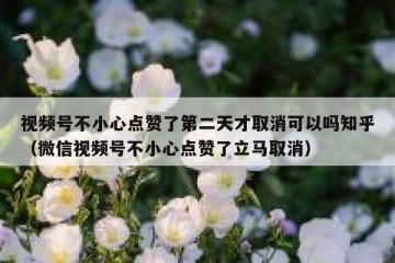 视频号不小心点赞了第二天才取消可以吗知乎（微信视频号不小心点赞了立马取消）