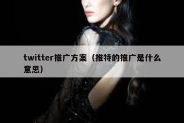 twitter推广方案（推特的推广是什么意思）