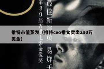 推特市值蒸发（推特ceo推文卖出290万美金）