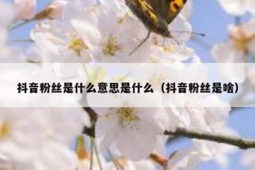 抖音粉丝是什么意思是什么（抖音粉丝是啥）