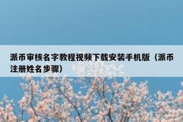 派币审核名字教程视频下载安装手机版（派币注册姓名步骤）