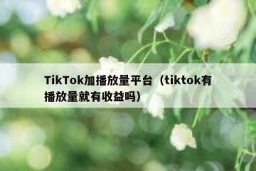 TikTok加播放量平台（tiktok有播放量就有收益吗）