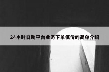 24小时自助平台业务下单低价的简单介绍