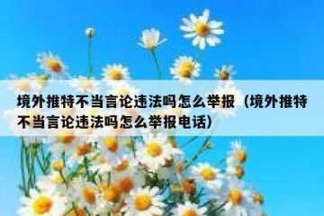 境外推特不当言论违法吗怎么举报（境外推特不当言论违法吗怎么举报电话）