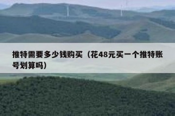 推特需要多少钱购买（花48元买一个推特账号划算吗）