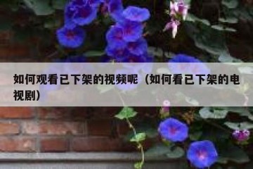 如何观看已下架的视频呢（如何看已下架的电视剧）