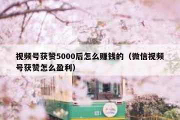 视频号获赞5000后怎么赚钱的（微信视频号获赞怎么盈利）