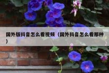 国外版抖音怎么看视频（国外抖音怎么看那种）