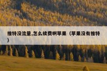 推特没流量,怎么续费啊苹果（苹果没有推特）