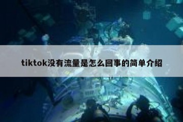 tiktok没有流量是怎么回事的简单介绍