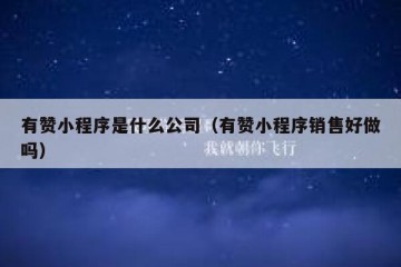 有赞小程序是什么公司（有赞小程序销售好做吗）