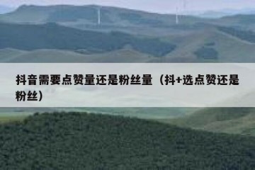 抖音需要点赞量还是粉丝量（抖+选点赞还是粉丝）