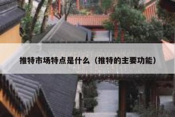 推特市场特点是什么（推特的主要功能）
