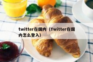 twitter在国内（Twitter在国内怎么登入）