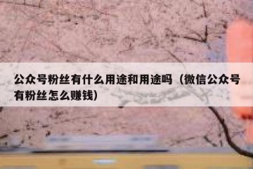 公众号粉丝有什么用途和用途吗（微信公众号有粉丝怎么赚钱）