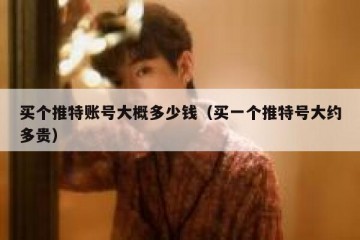 买个推特账号大概多少钱（买一个推特号大约多贵）