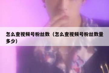 怎么查视频号粉丝数（怎么查视频号粉丝数量多少）