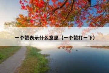 一个赞表示什么意思（一个赞打一下）