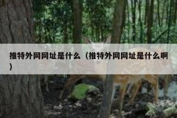 推特外网网址是什么（推特外网网址是什么啊）