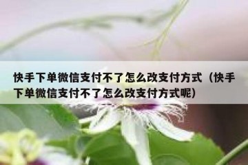 快手下单微信支付不了怎么改支付方式（快手下单微信支付不了怎么改支付方式呢）
