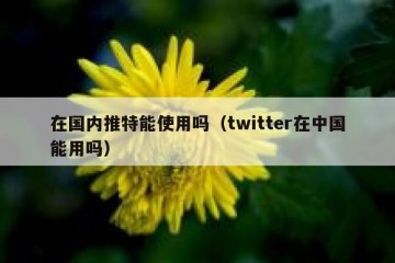 在国内推特能使用吗（twitter在中国能用吗）