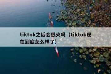 tiktok之后会很火吗（tiktok现在到底怎么样了）