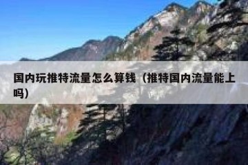 国内玩推特流量怎么算钱（推特国内流量能上吗）