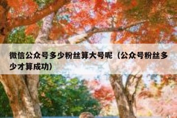 微信公众号多少粉丝算大号呢（公众号粉丝多少才算成功）