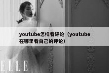 youtube怎样看评论（youtube在哪里看自己的评论）