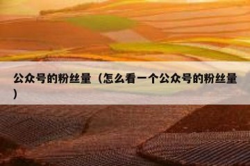 公众号的粉丝量（怎么看一个公众号的粉丝量）