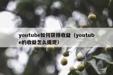 youtube如何获得收益（youtube的收益怎么提现）