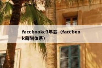 facebooke3年薪（facebook薪酬体系）