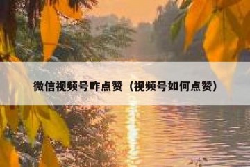 微信视频号咋点赞（视频号如何点赞）