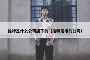推特是什么公司旗下的（推特是谁的公司）