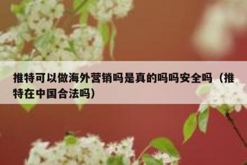 推特可以做海外营销吗是真的吗吗安全吗（推特在中国合法吗）